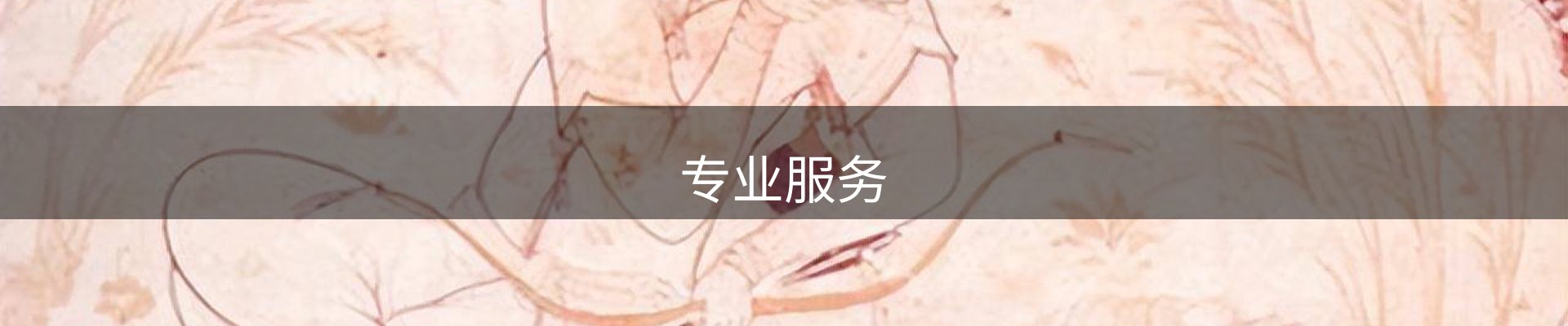专业服务