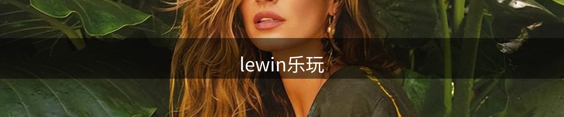 lewin乐玩